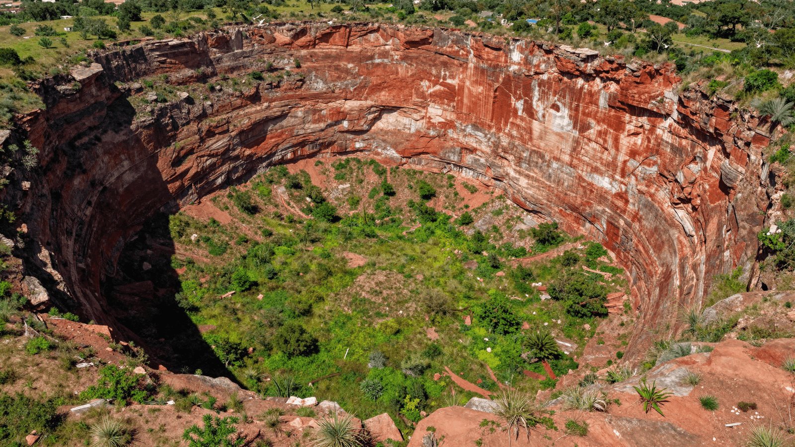 Grande dolina de paredes avermelhadas com vegetação e aves, semelhante ao Buraco das Araras em Bonito