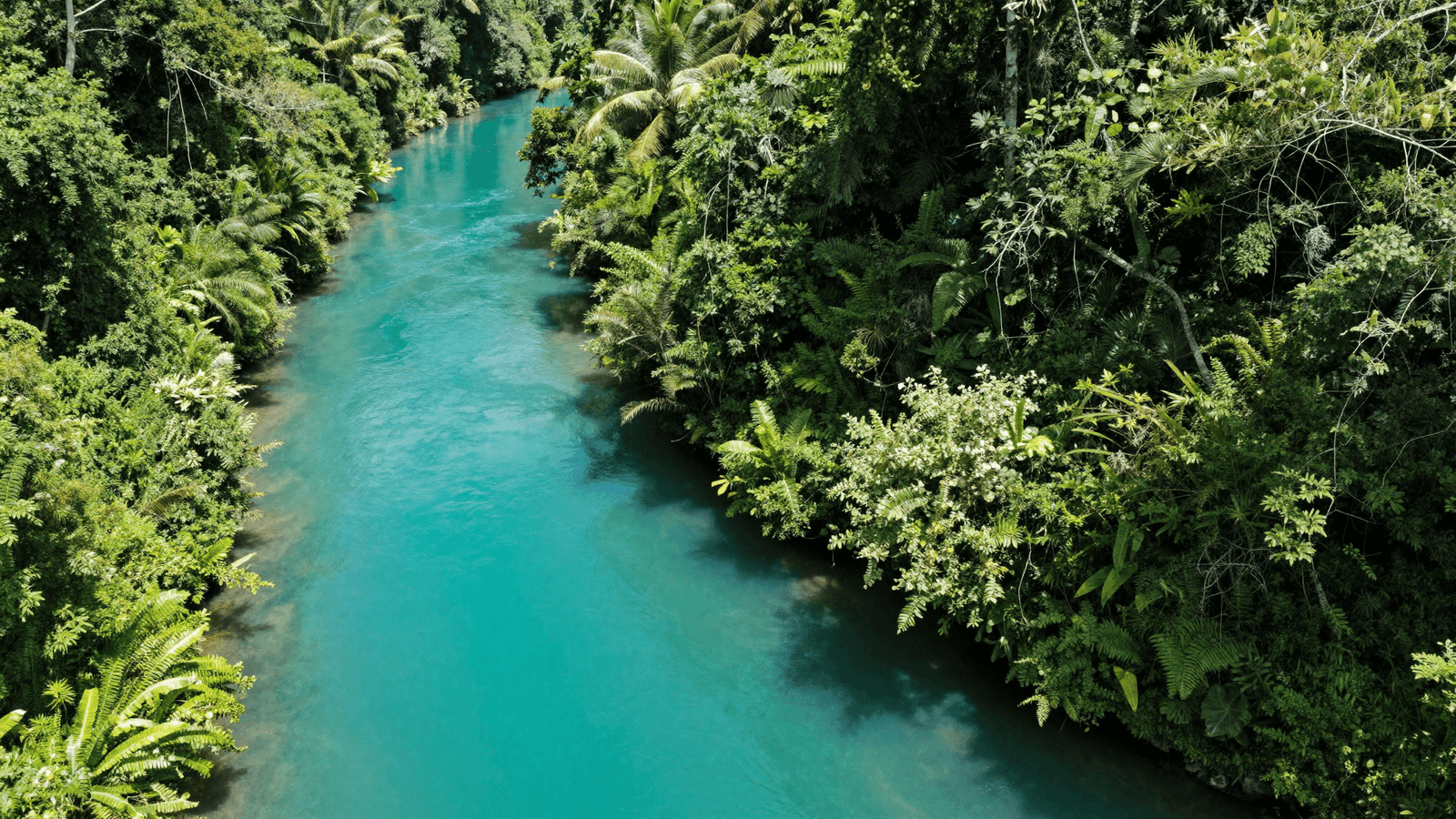 Rio de águas cristalinas serpenteando pela mata, típico de Bonito Mato Grosso do Sul