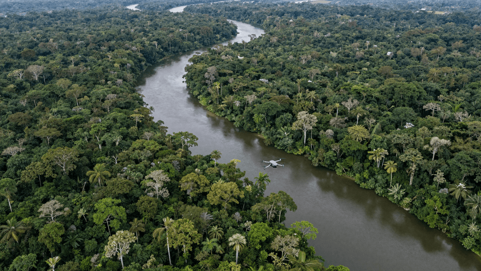 Vista aérea da floresta amazônica e seus rios