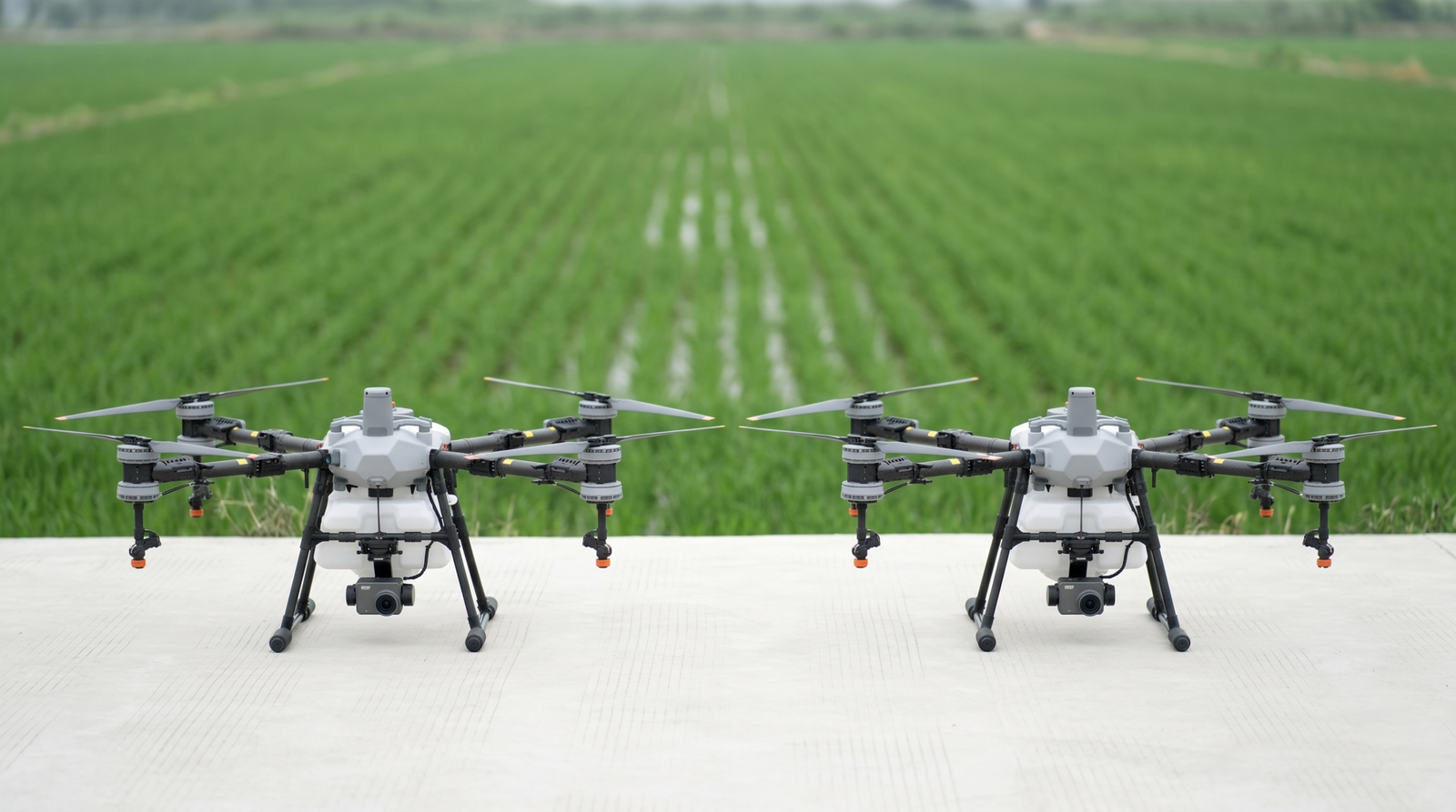 DJI Agras T25 e T50 lado a lado em comparação