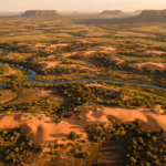 Vista aerea das dunas alaranjadas e do cerrado do Jalapao ao entardecer