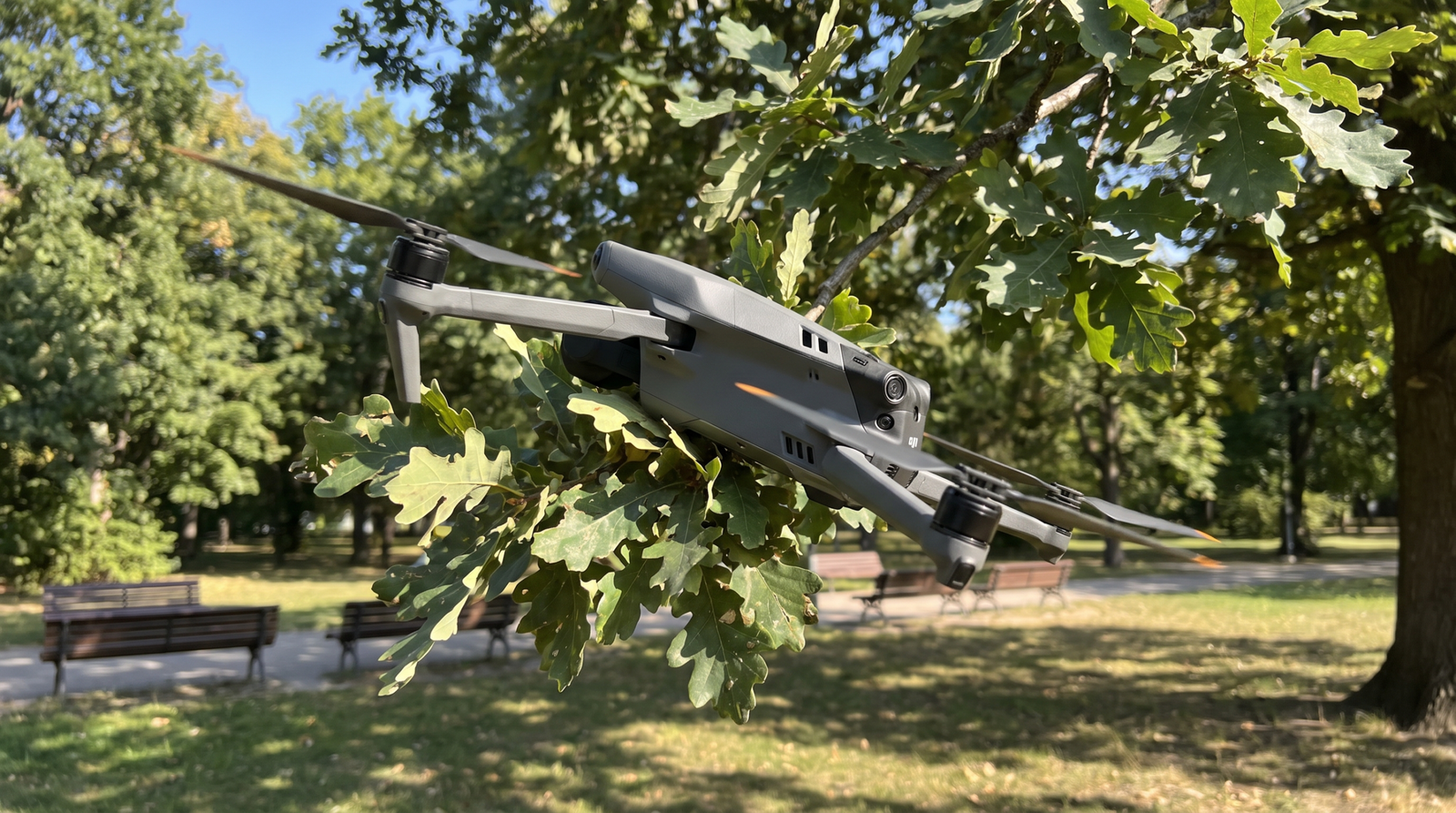 Drone DJI-style voando perigosamente perto de um galho de arvore, sensacao de quase acidente