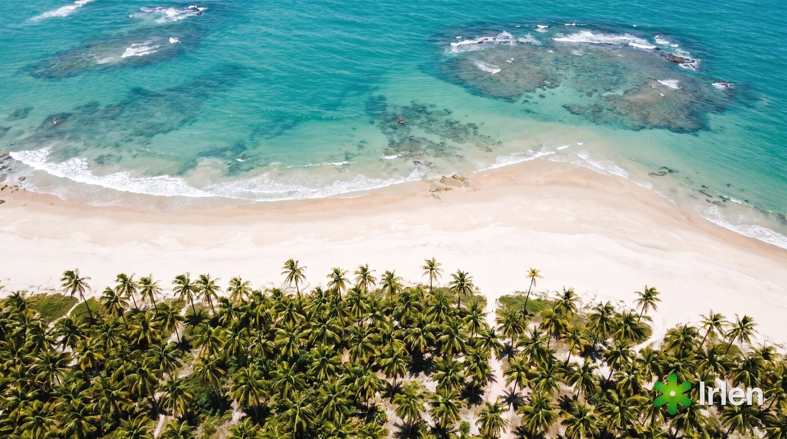 Vista aérea de uma praia paradisíaca do Nordeste