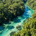 Vista aerea de um rio de agua cristalina serpenteando pela mata em Nobres