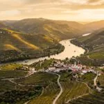 Vista aerea dos vinhedos em socalcos do Vale do Douro em Portugal