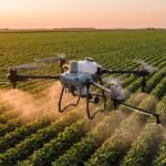 Drone agrícola pulverizando lavoura de soja ao entardecer
