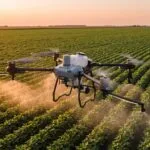 Drone agrícola pulverizando lavoura de soja ao entardecer