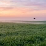 Campo aberto amplo com um unico drone pequeno voando ao longe