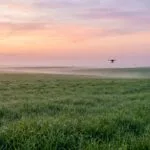 Campo aberto amplo com um unico drone pequeno voando ao longe