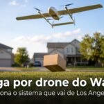 Entrega por drone do Walmart: pacote descendo por cabo em um quintal residencial