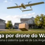 Entrega por drone do Walmart: pacote descendo por cabo em um quintal residencial