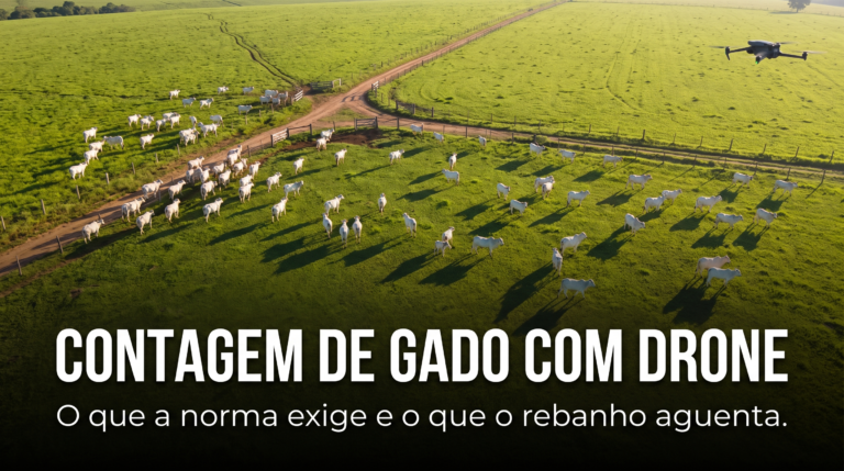 Contagem de gado com drone