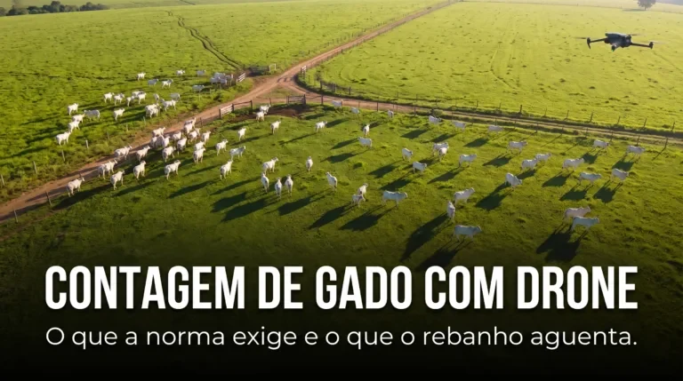 Contagem de gado com drone