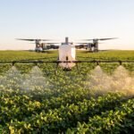 Drone agrícola pulverizando sobre lavoura de soja no fim da tarde