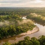Vista aérea de floresta e rio com aldeia ao longe
