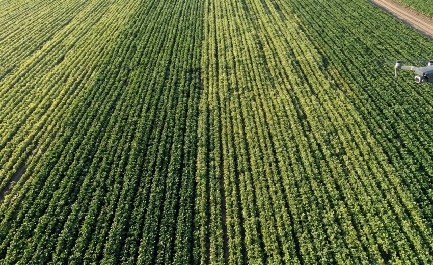 NDVI e câmera multiespectral na prática: o que o agro vê que o olho não vê (2026)