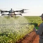 Drone agrícola DJI Agras T50 pulverizando lavoura de soja ao amanhecer, com o piloto na beira do talhão