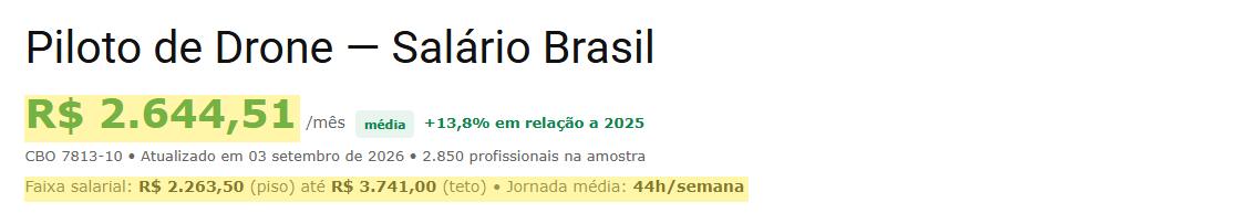 Página do Salário.com.br para Piloto de Drone com salário médio, piso e teto destacados