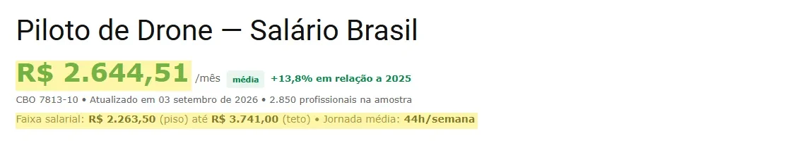 Página do Salário.com.br para Piloto de Drone com salário médio, piso e teto destacados