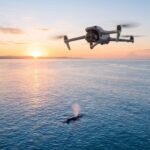 Drone DJI Air 3S voando alto sobre o mar ao nascer do sol, com uma baleia jubarte bem abaixo, longe do drone