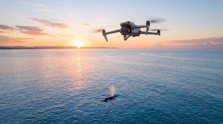 Drone DJI Air 3S voando alto sobre o mar ao nascer do sol, com uma baleia jubarte bem abaixo, longe do drone